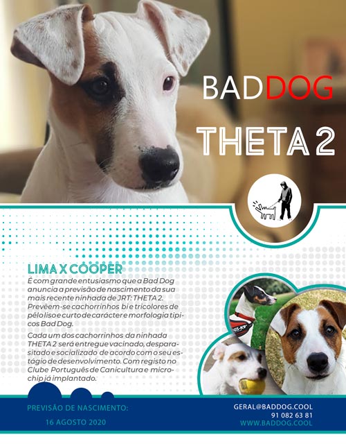 THETA2 poster