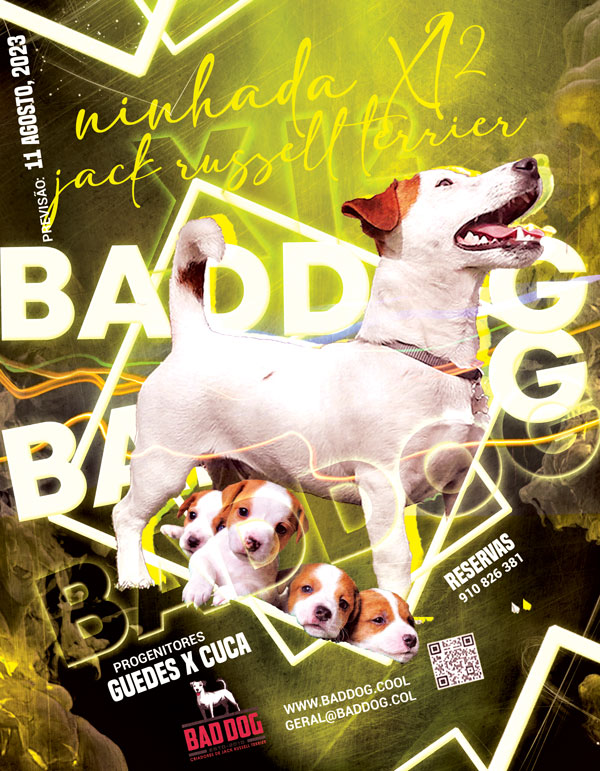 BADDOG XI2LITTER TEASER