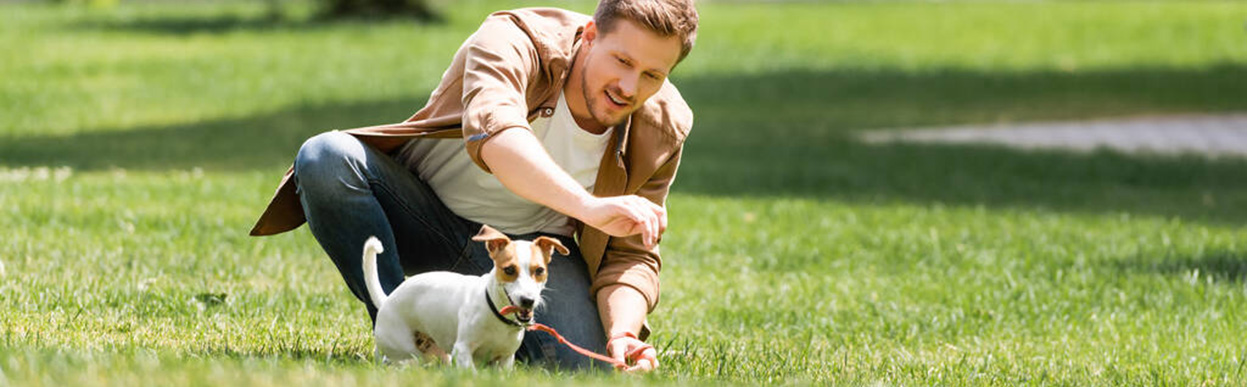 baddog JRT como cansar