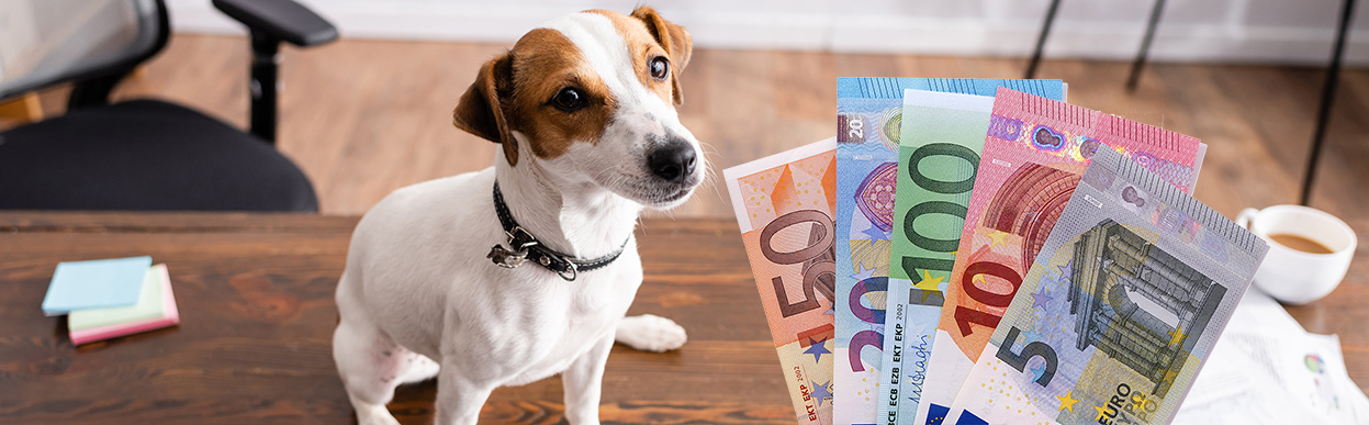 baddog JRT eurocost