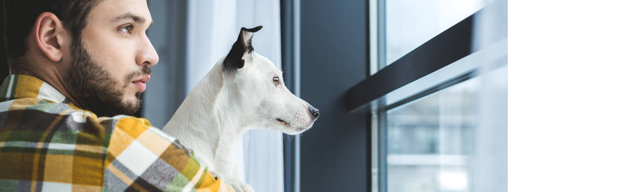 baddog JRT throughtheeyes