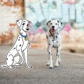 Perdita