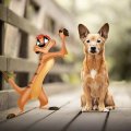 Timon