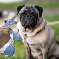blastoise
