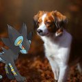 luxray