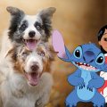 Lilo & Stitch