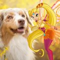 Stella