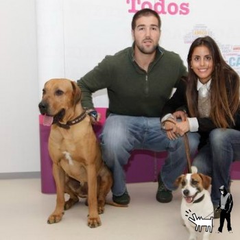 Gonçalo Uva tem um macho Jack Russell Terrier chamado Fidel, oferecido pela sua namorada Carolina Patrocínio.