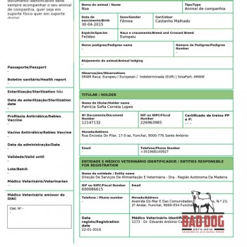 Documento de Identificação do Animal de Companhia. Comprova aposição do microchip e registo na base de dados do SIAC.